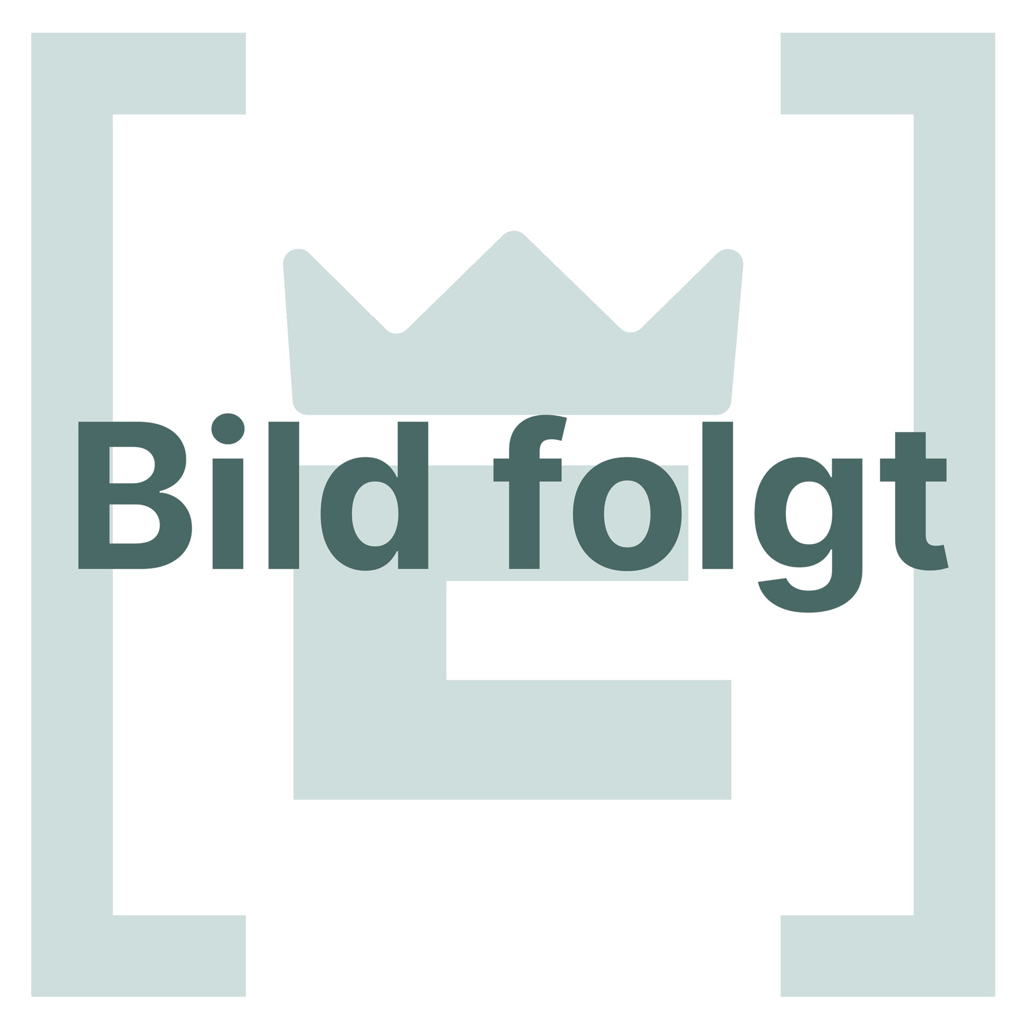 PRB 1100 PRB Durchschubsicherung L = 2.700 mm, DR